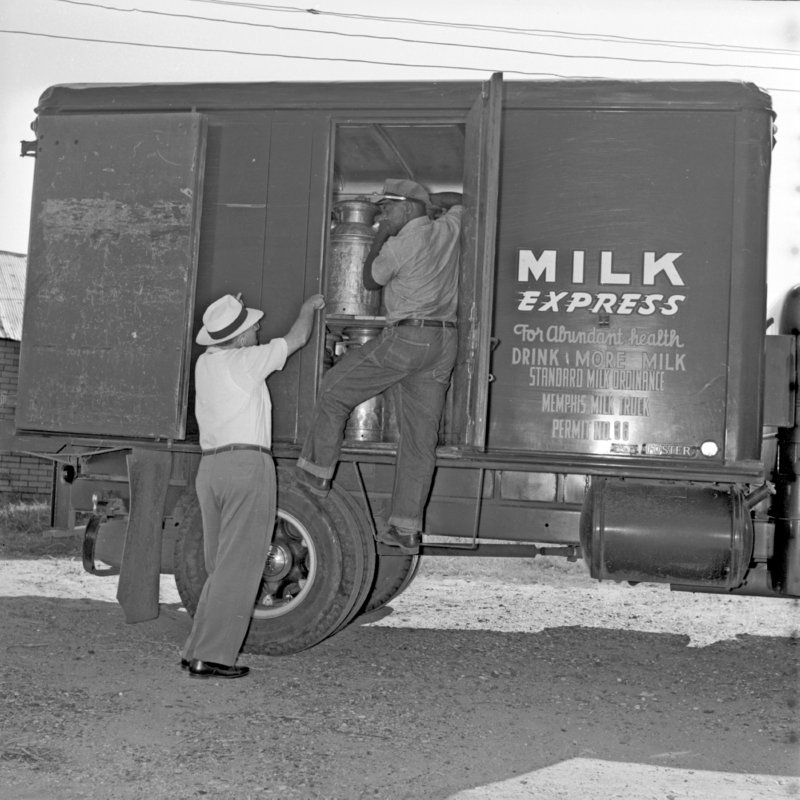 100_milk trucks and... (1954).jpg
